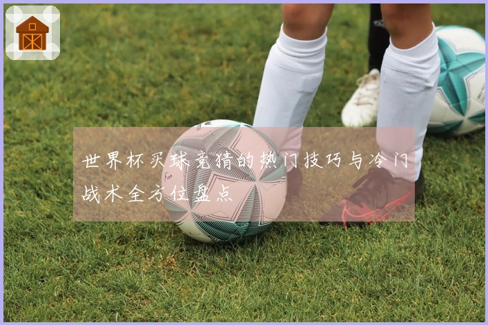 世界杯买球竞猜的热门技巧与冷门战术全方位盘点