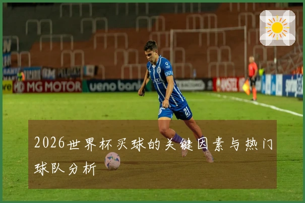 2026世界杯买球的关键因素与热门球队分析