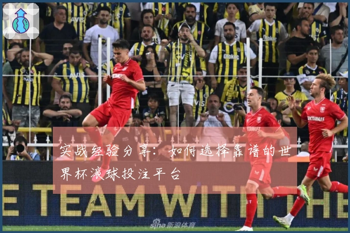 实战经验分享：如何选择靠谱的世界杯滚球投注平台