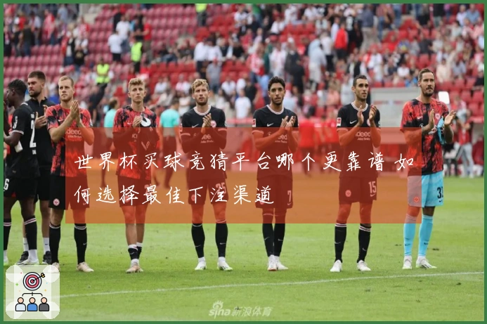 世界杯买球竞猜平台哪个更靠谱 如何选择最佳下注渠道
