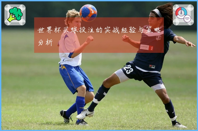 世界杯买球投注的实战经验与策略分析