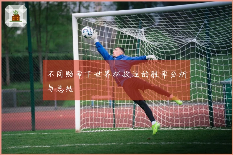 不同赔率下世界杯投注的胜率分析与总结
