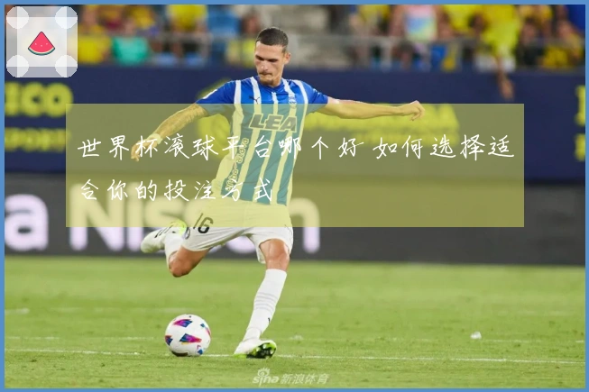 世界杯滚球平台哪个好 如何选择适合你的投注方式